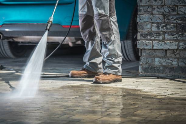 Best Roof Washing  in Hawthorne, FL
