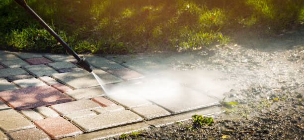 Best Driveway Pressure Washing  in Hawthorne, FL