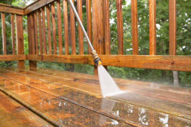 Best Solar Panel Cleaning  in Hawthorne, FL